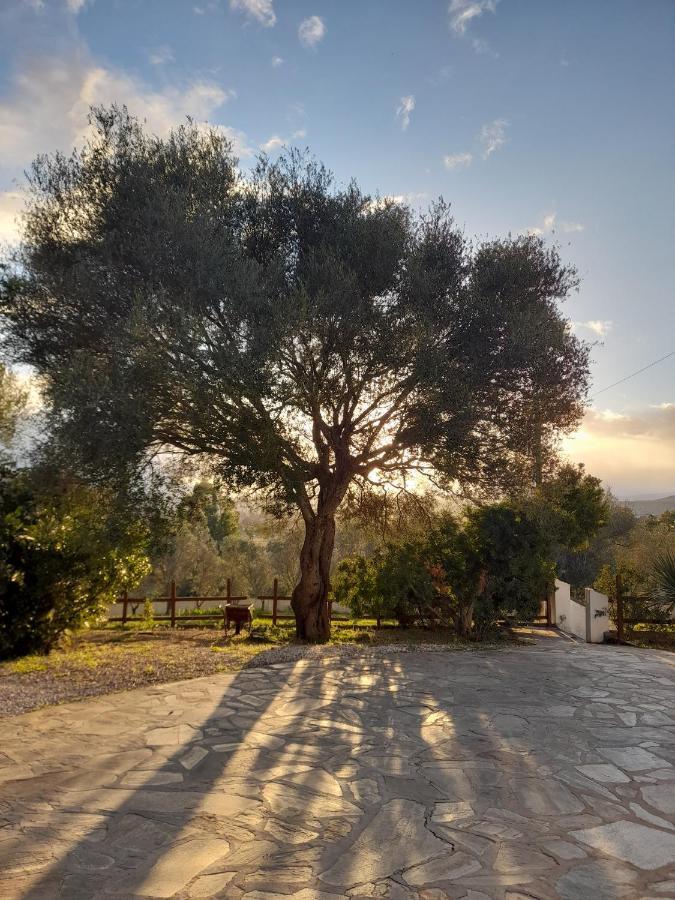 Agriturismo Palas De Serra Country Resort Onifai Exterior foto