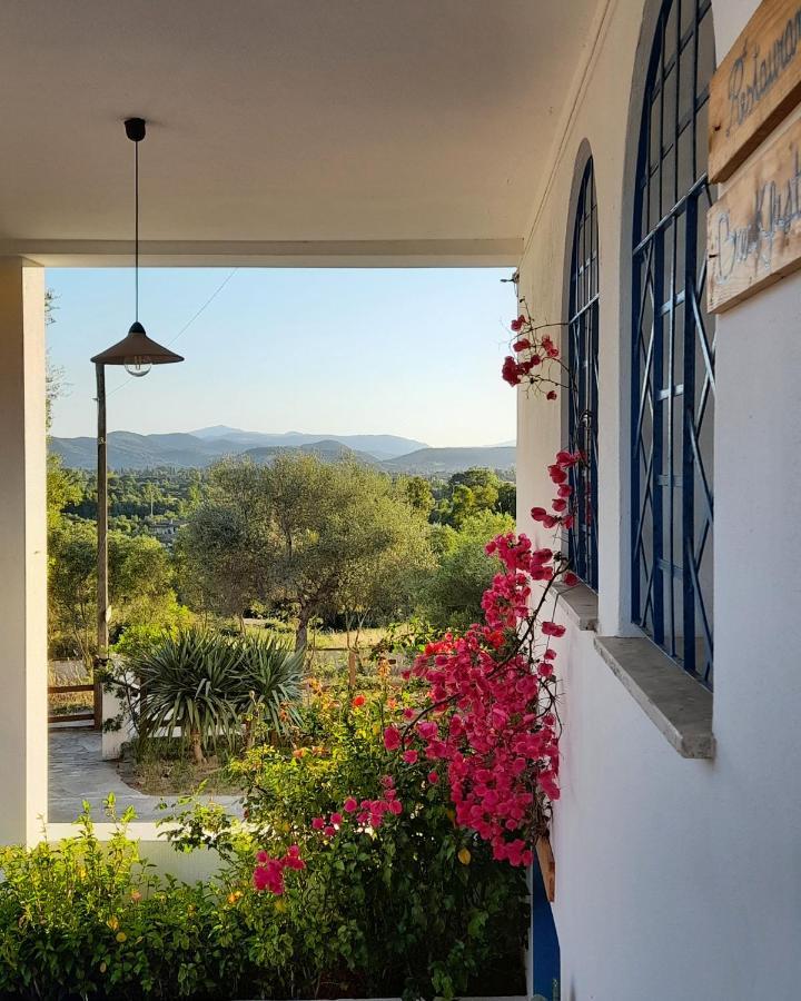 Agriturismo Palas De Serra Country Resort Onifai Exterior foto